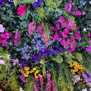 Meet your Posher, Rose